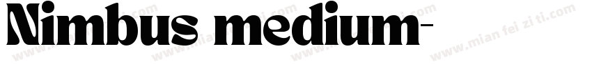 Nimbus medium字体转换